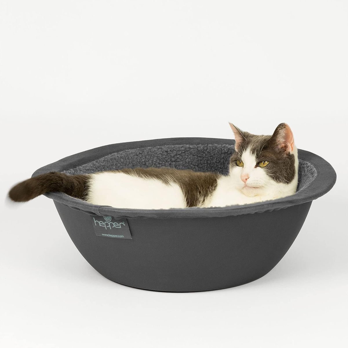 large cat bed