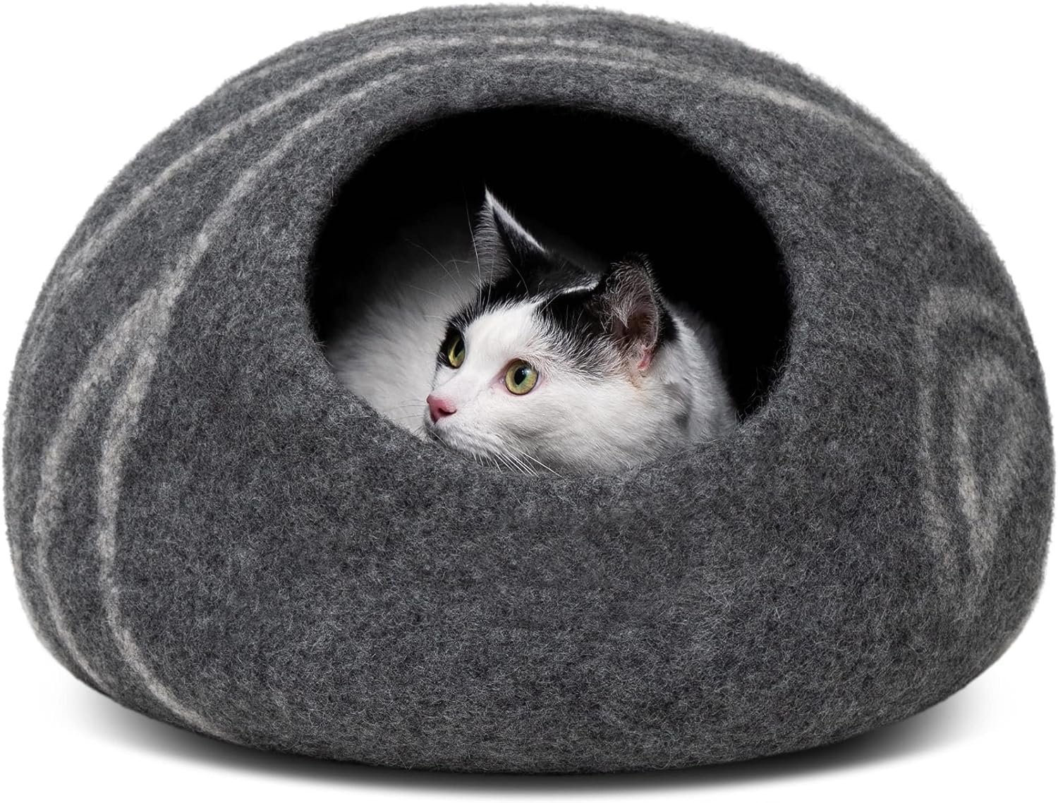 Best Cat Beds For Large Cats